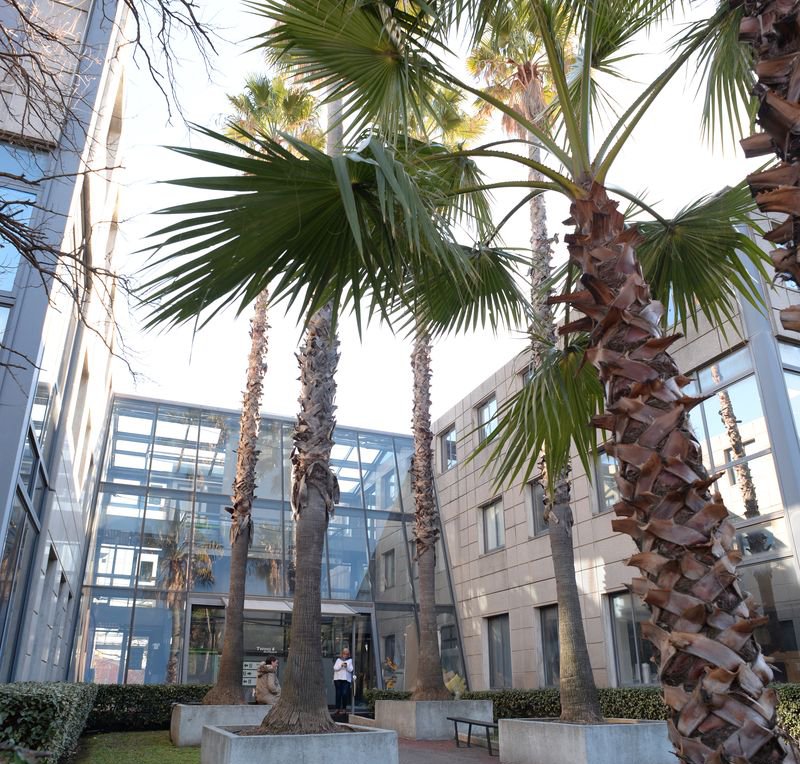 Locaux de Naxan Group à Sophia Antipolis